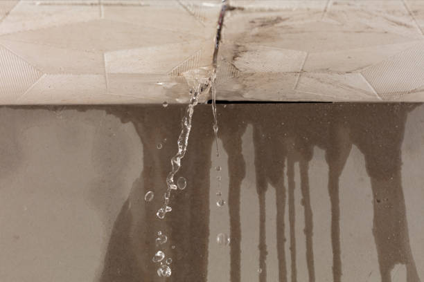 Professional Flood Damage Cleanup technician working in Albion, MI